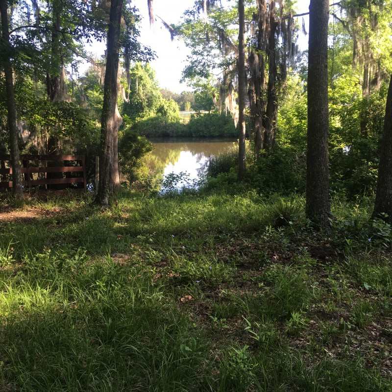 05-1N-4E-0830-0 NONE, Monticello, FL 32344