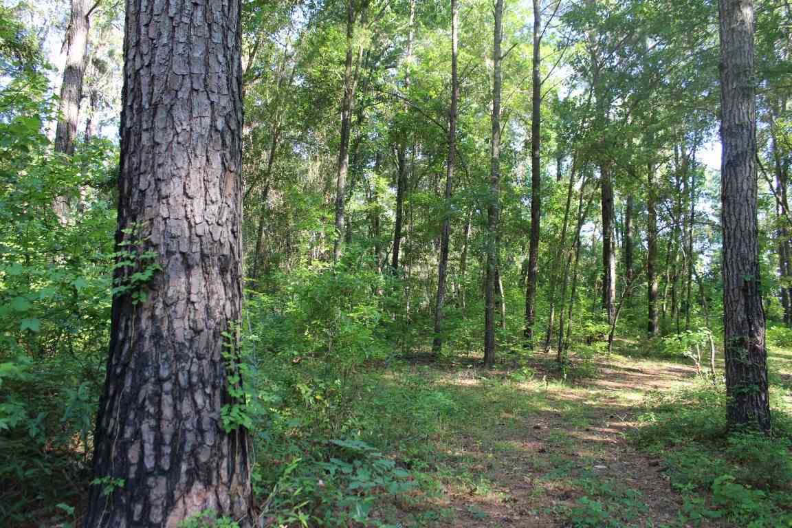 445* Hiawatha Farms, Monticello, FL 32344