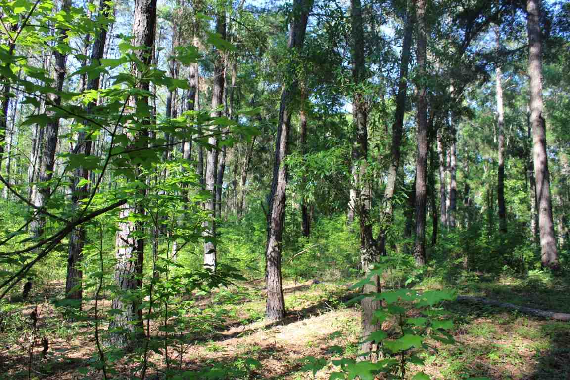 445* Hiawatha Farms, Monticello, FL 32344