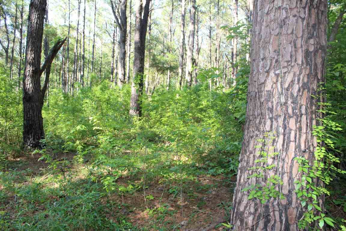 445* Hiawatha Farms, Monticello, FL 32344