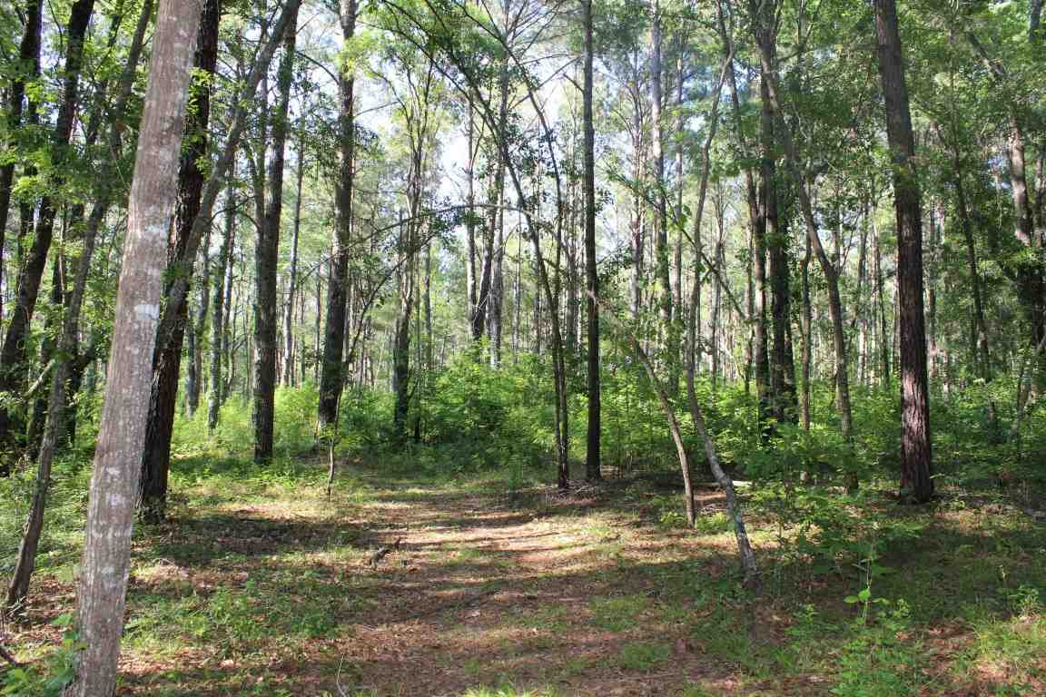 445* Hiawatha Farms, Monticello, FL 32344