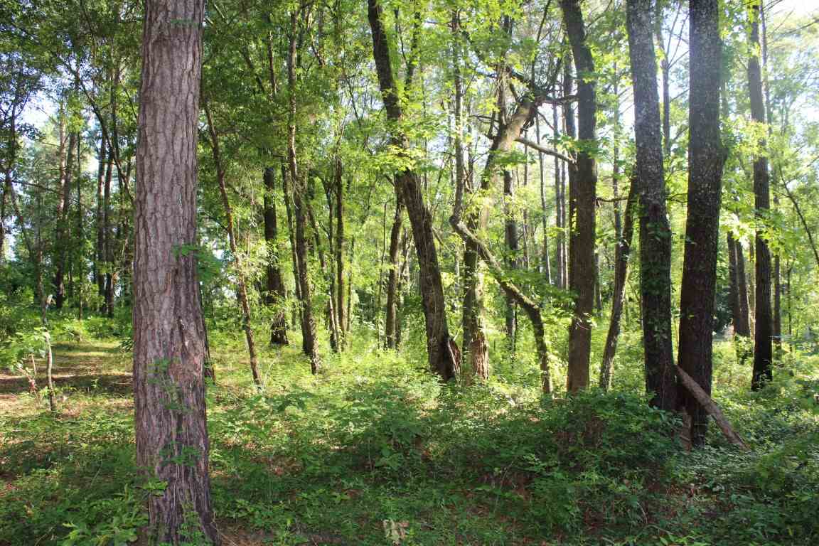 445* Hiawatha Farms, Monticello, FL 32344