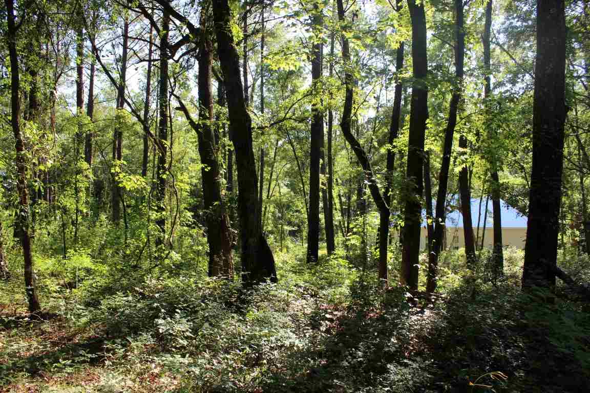 445* Hiawatha Farms, Monticello, FL 32344