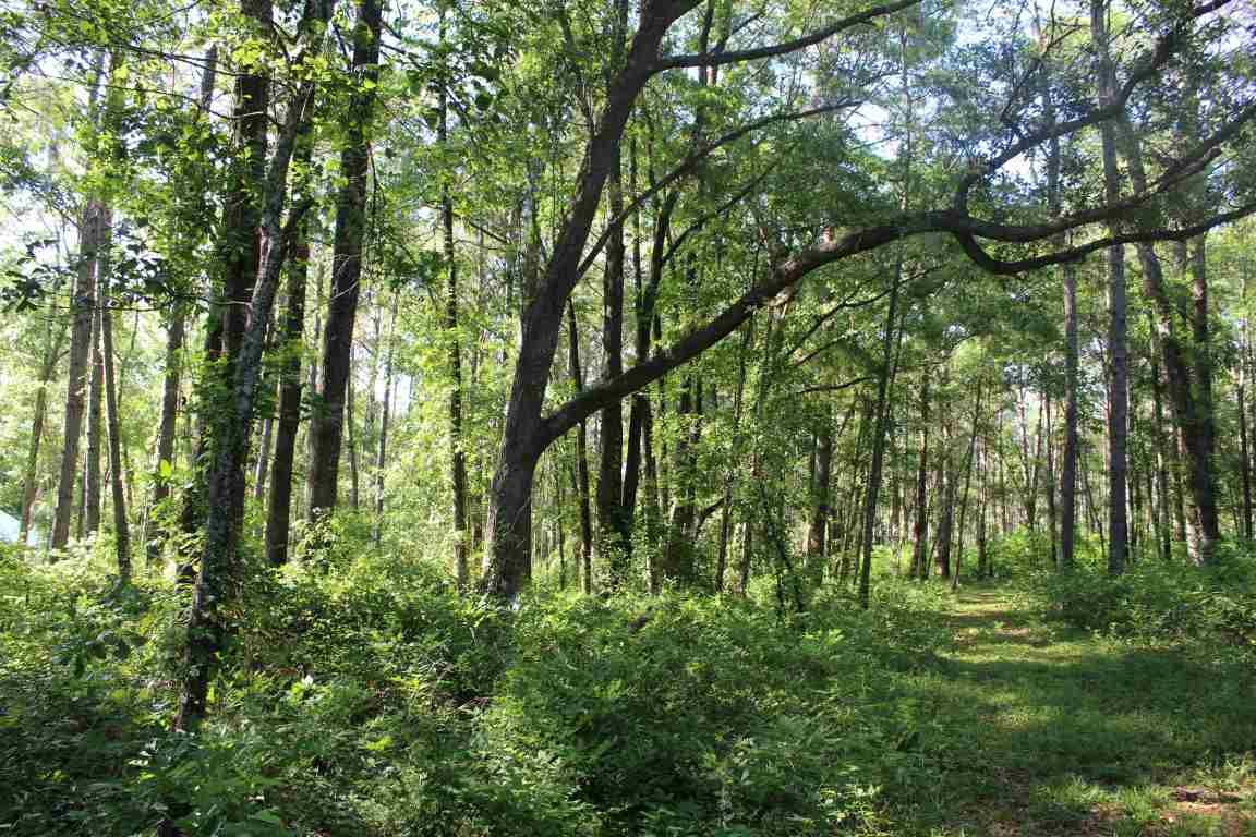 445* Hiawatha Farms, Monticello, FL 32344