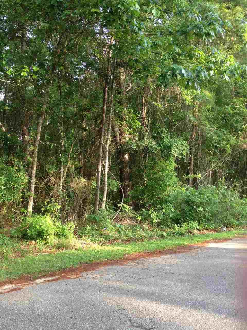 00 Hampton, Monticello, FL 32344