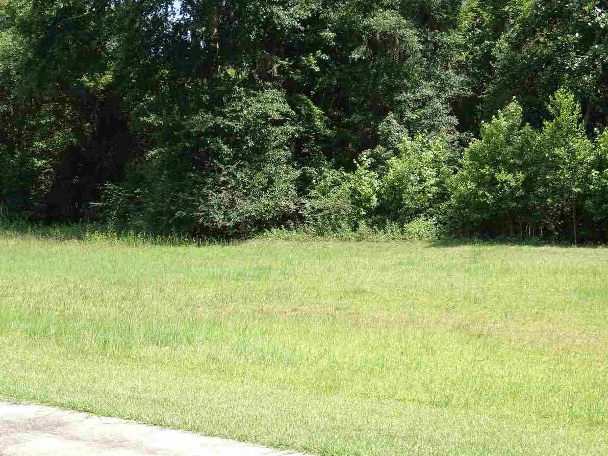 10B Melrose, Monticello, FL 32344