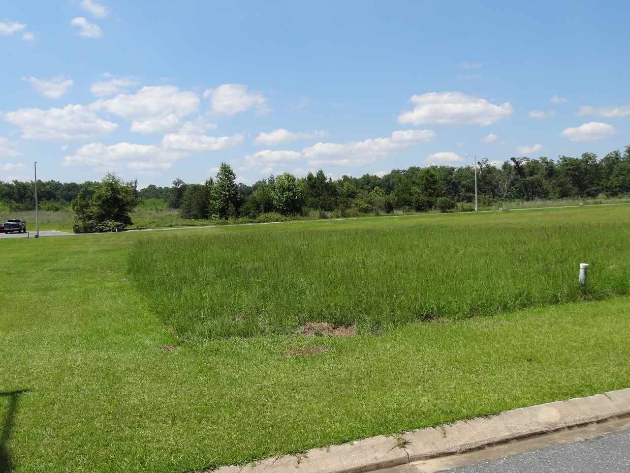 2B Melrose, Monticello, FL 32344