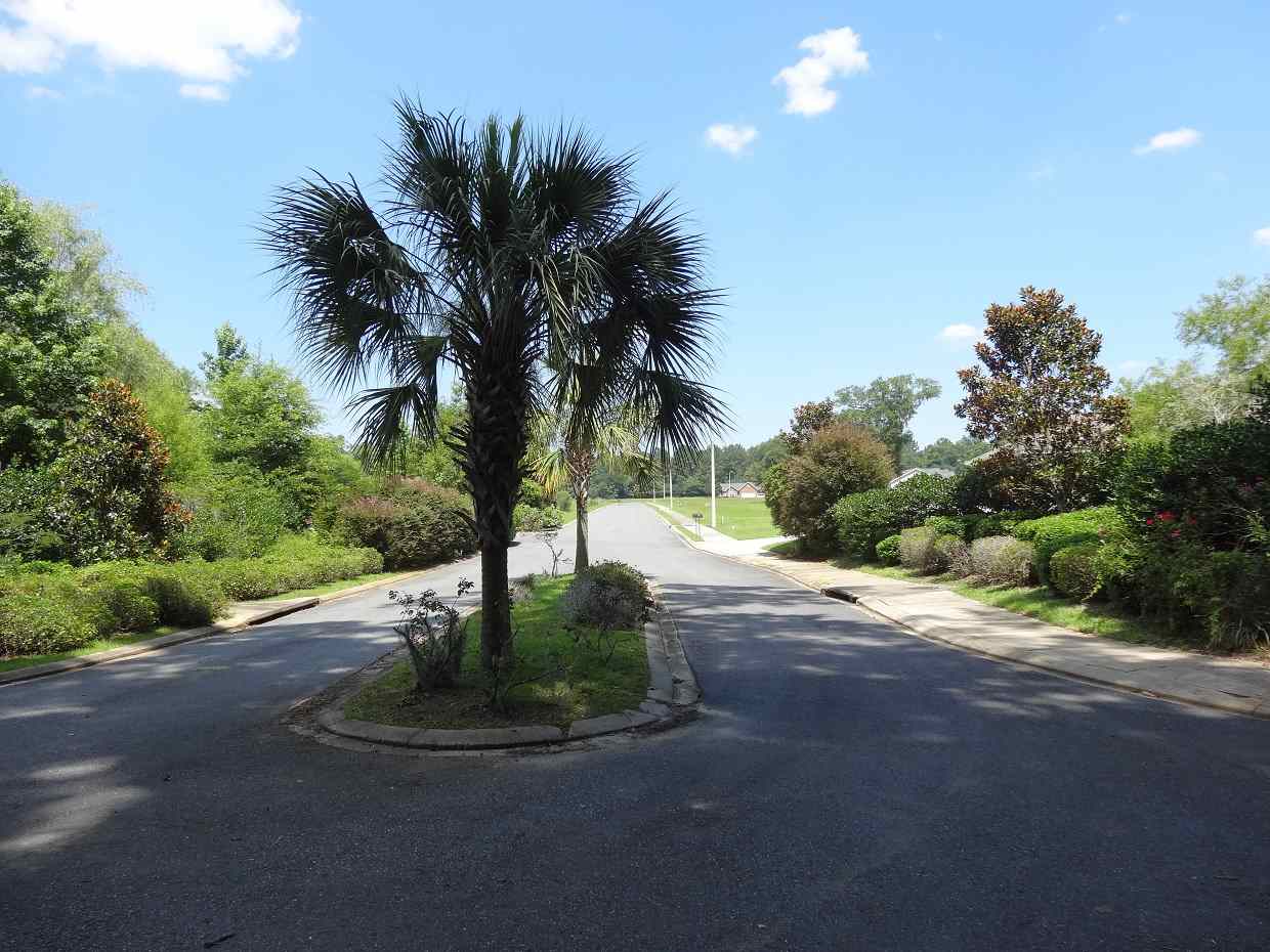 3A Melrose, Monticello, FL 32344