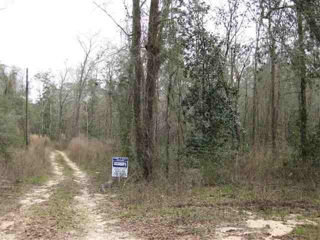 405 Dove, Monticello, FL 32344