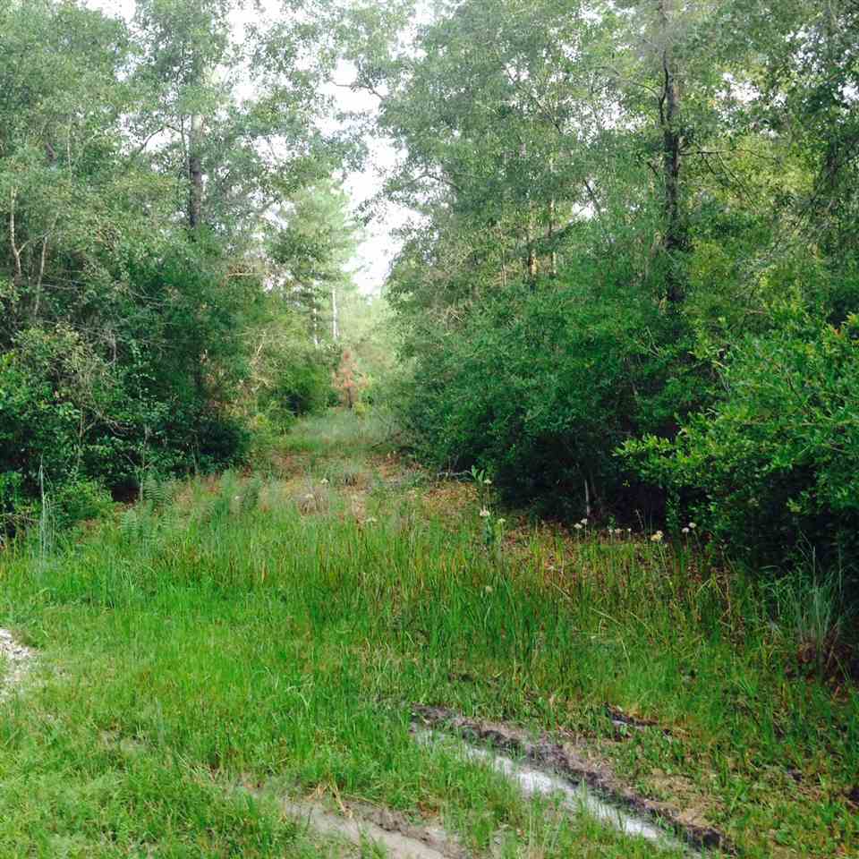 00 Bishop Farms Road, Monticello, FL 32344