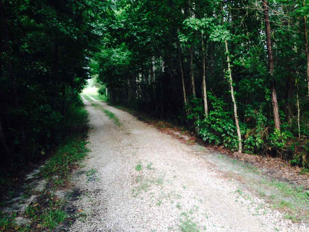 00 Bishop Farms Road, Monticello, FL 32344