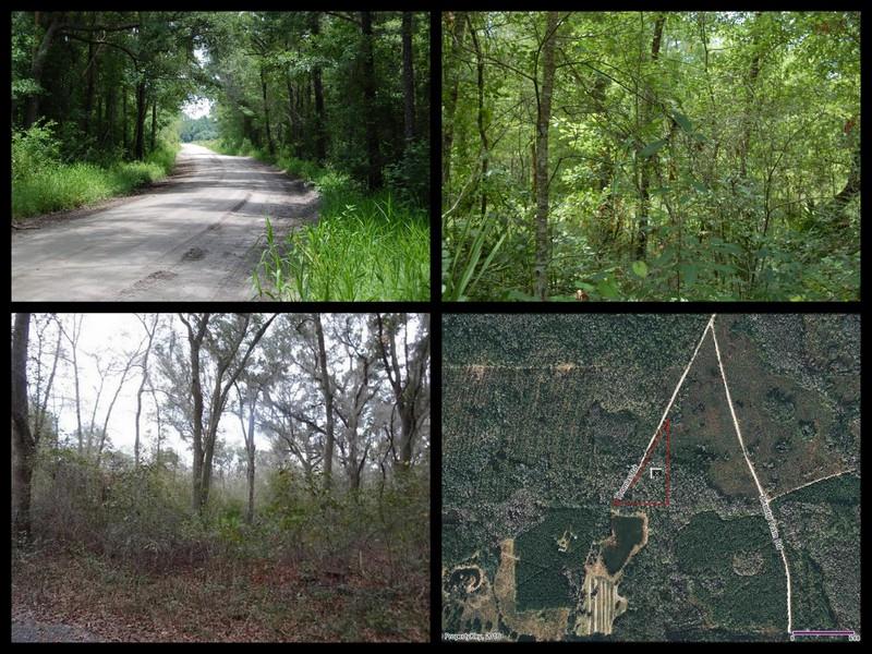 XXX Thomas, Monticello, FL 32344