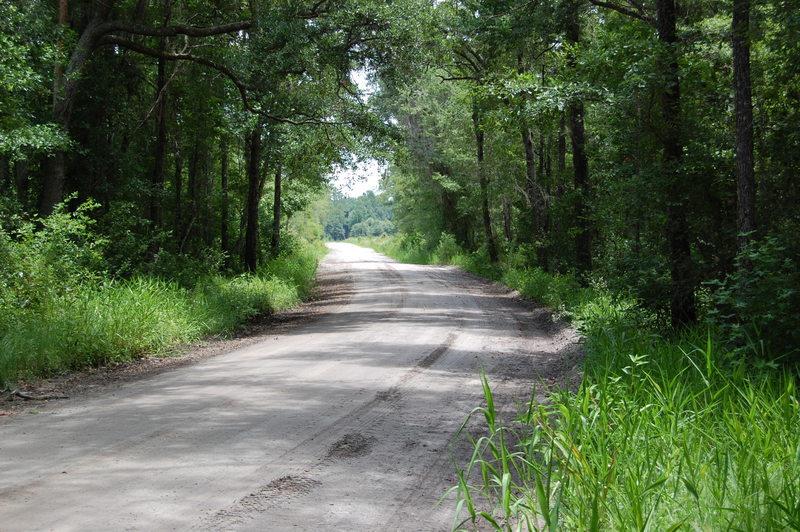 XXX Thomas, Monticello, FL 32344