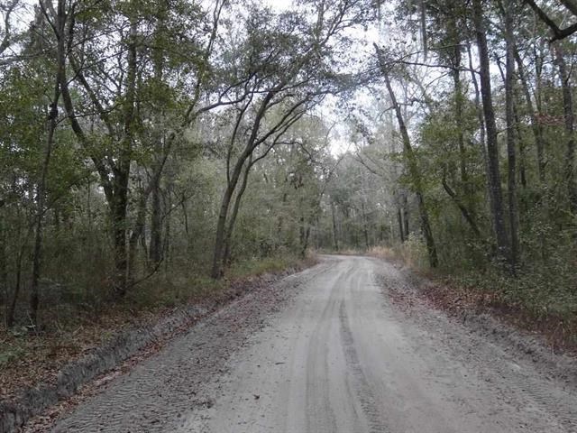 XXX Thomas, Monticello, FL 32344