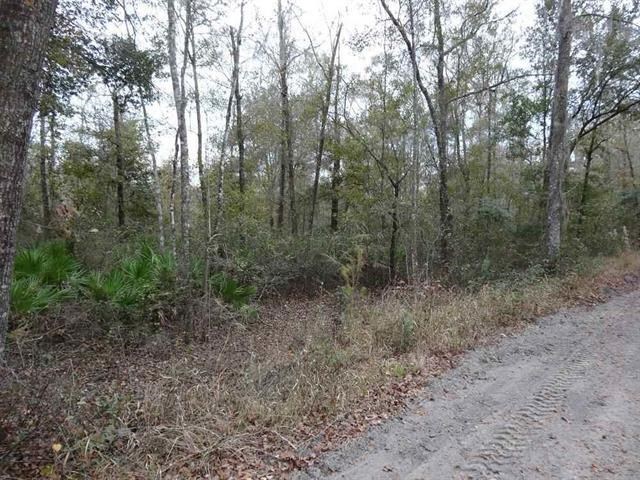 XXX Thomas, Monticello, FL 32344
