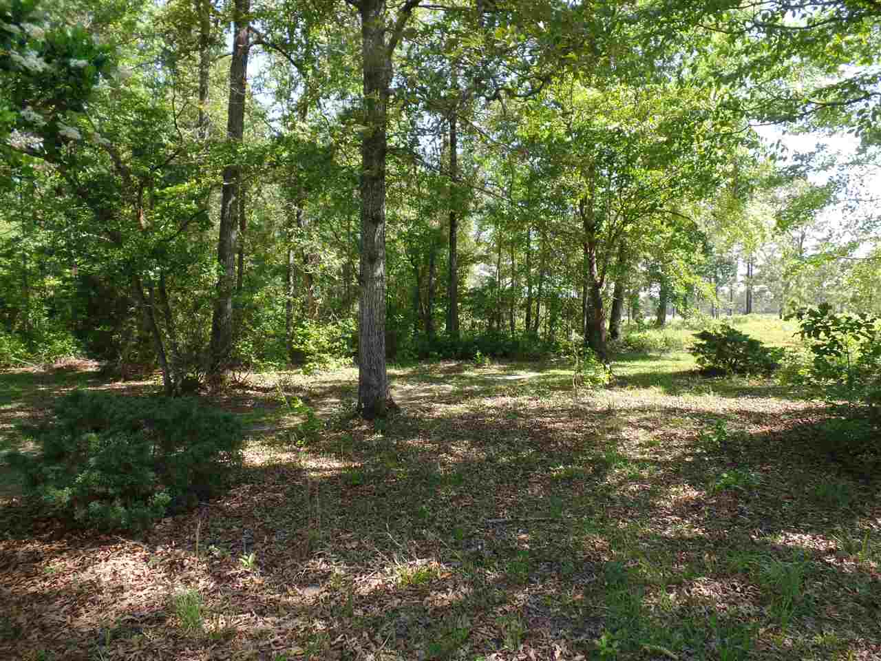 929 N Gilley, Monticello, FL 32344