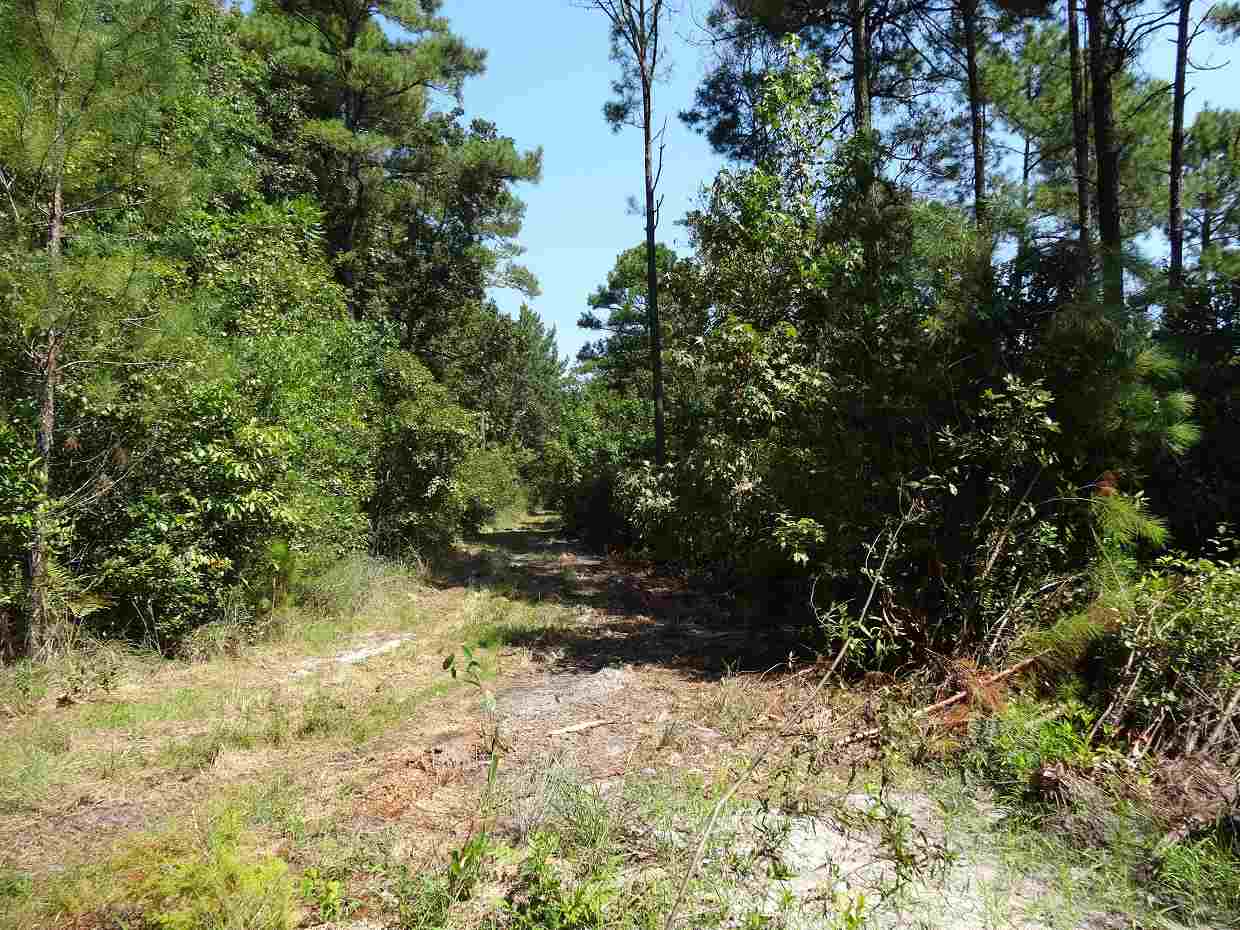 00 Dove Ln, Monticello, FL 32344