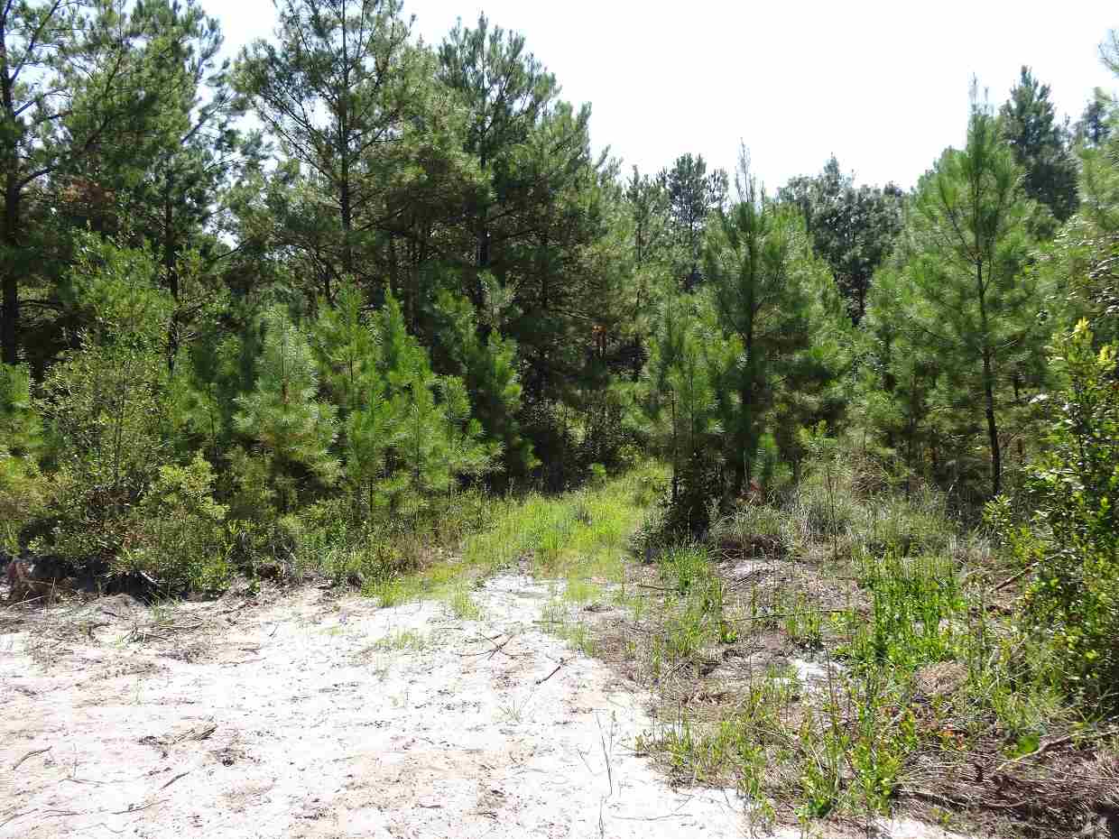00 Dove Ln, Monticello, FL 32344