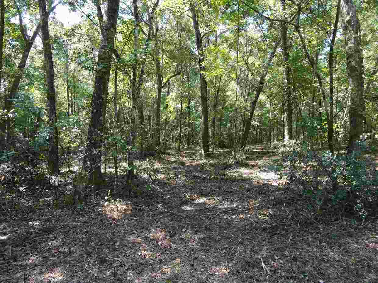 00 Dove Ln, Monticello, FL 32344