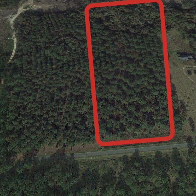 XXX Rainey Run, Monticello, FL 32344