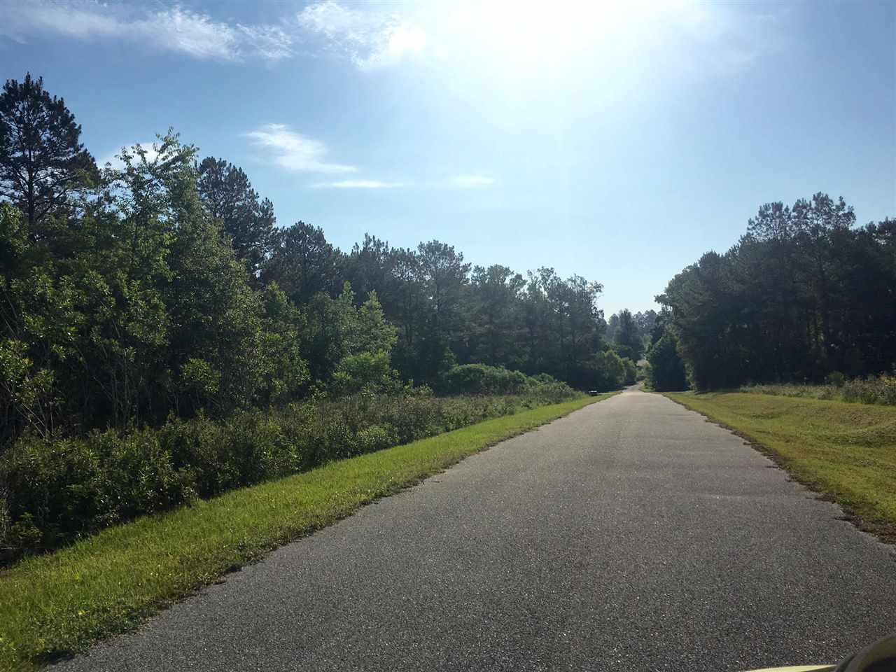 XXX Rainey Run, Monticello, FL 32344