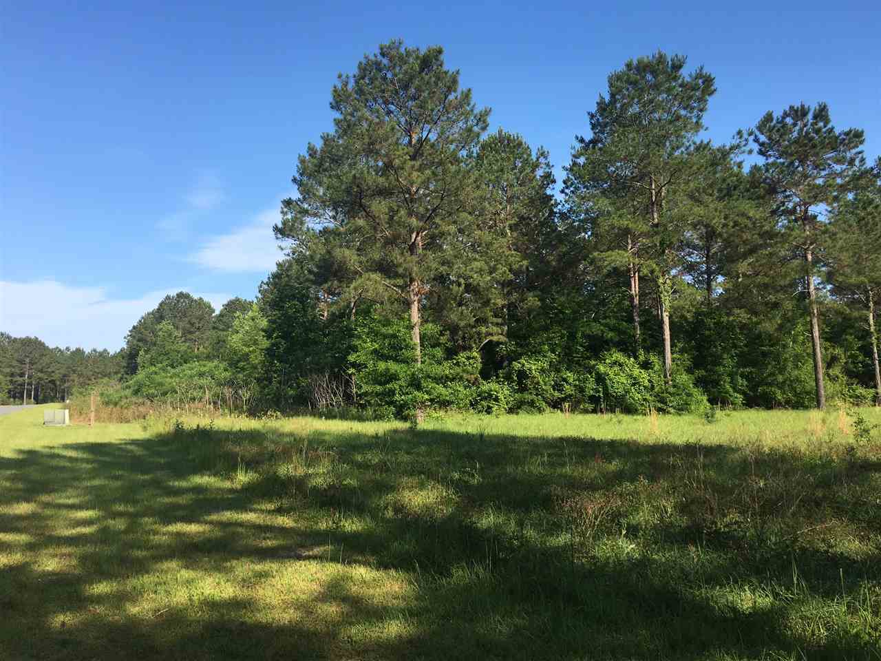 XXX Rainey Run, Monticello, FL 32344
