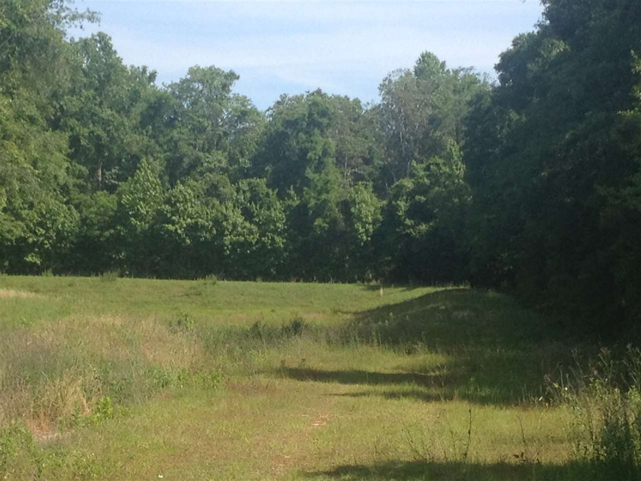 00 Storm Water Lane, Monticello, FL 32344