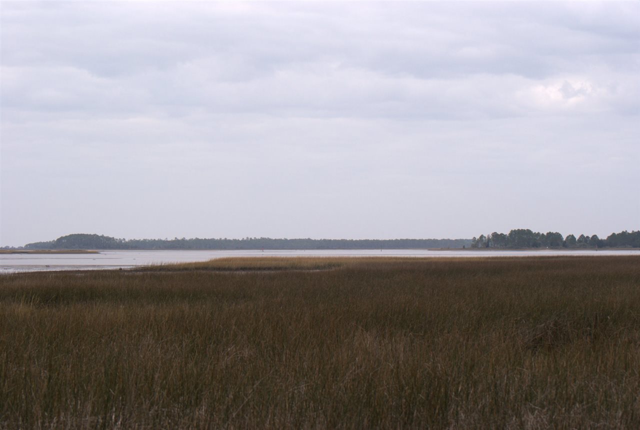 xx Paradise Lane, Panacea, FL 32346