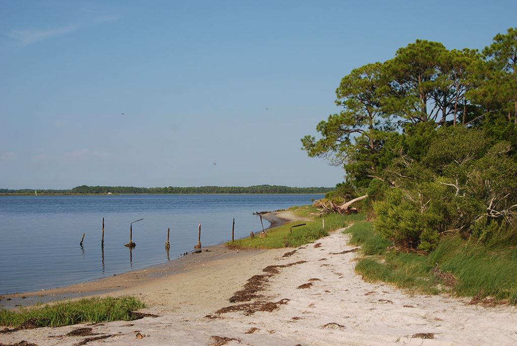 xx Paradise Lane, Panacea, FL 32346