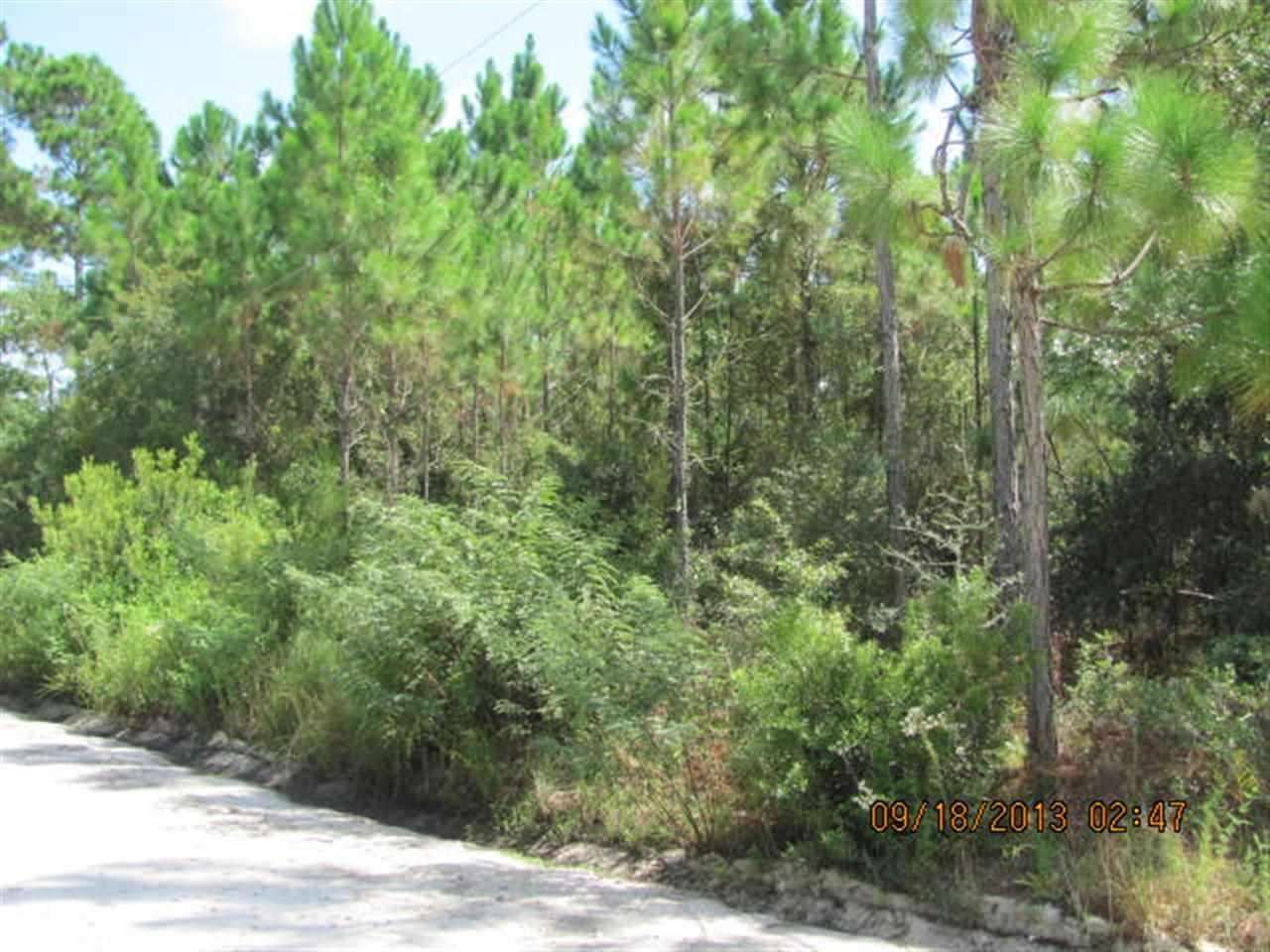 LOT 11 JOE MACK SMITH, Panacea, FL 32346