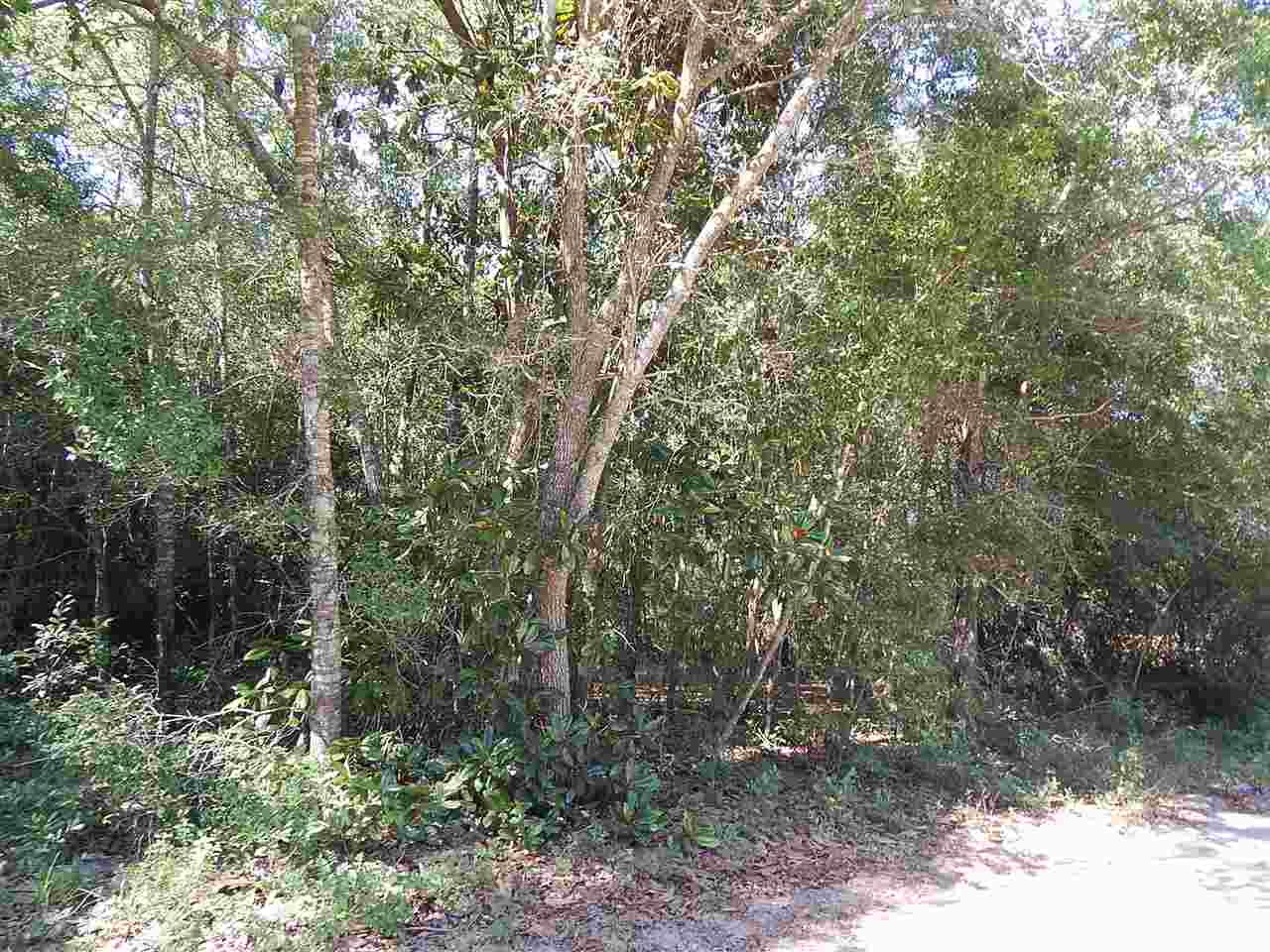 TBD Lake, Panacea, FL 32346