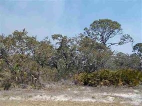 544 Mashes Sands, Panacea, FL 32346