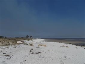 544 Mashes Sands, Panacea, FL 32346