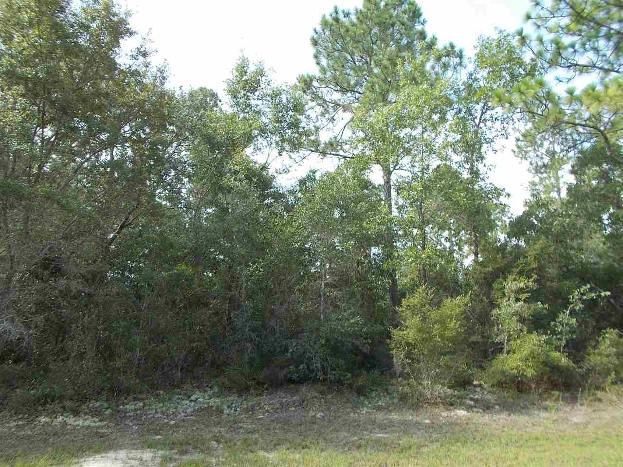 45 Simmons, Panacea, FL 32346