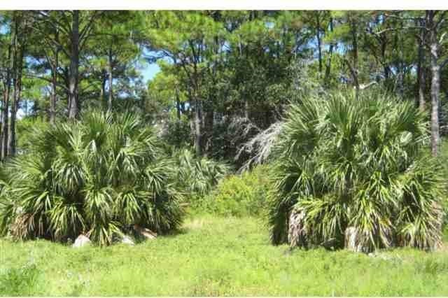 1262 Alligator Point, Alligator Point, FL 32346