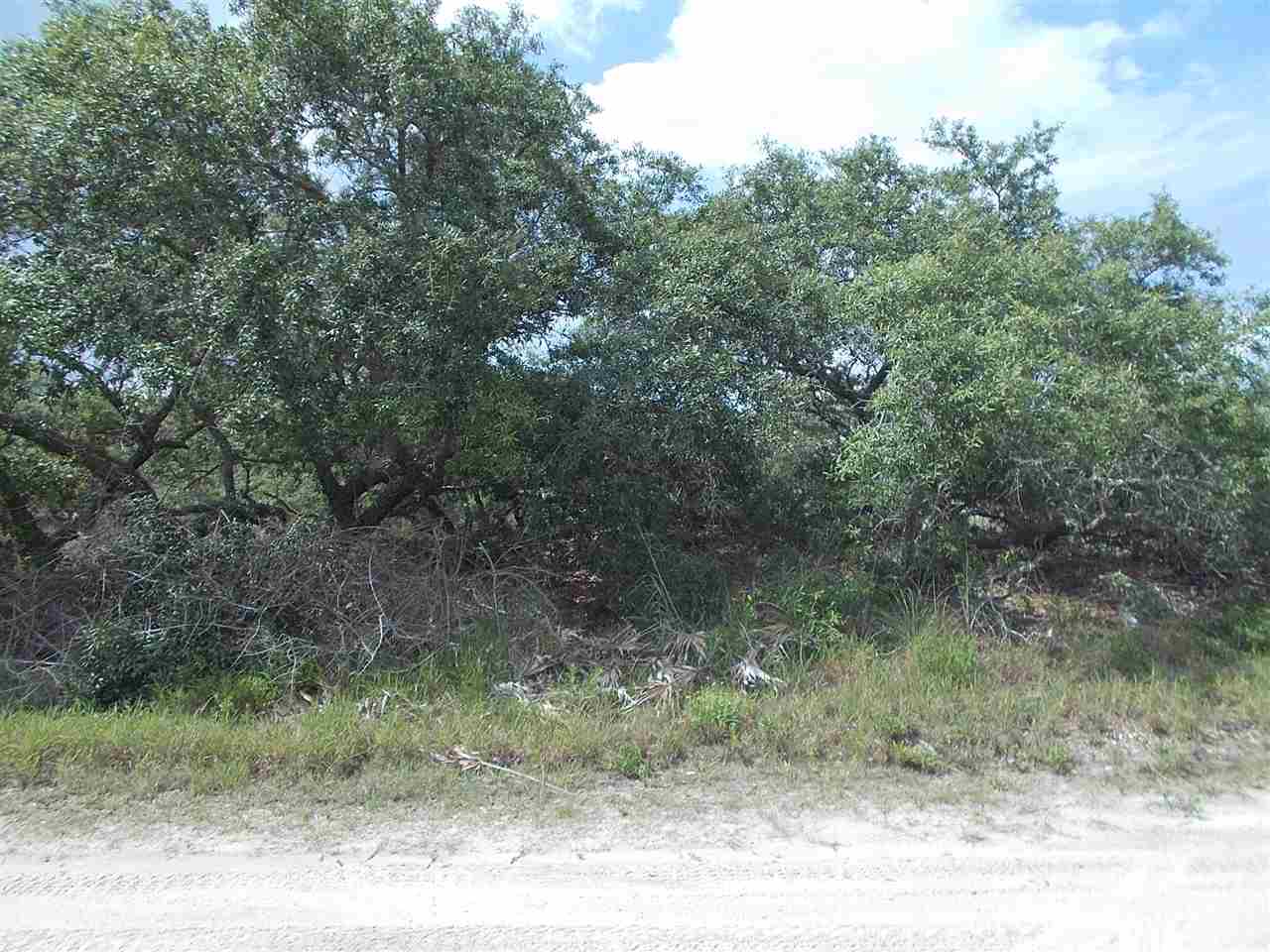 11 Sailfish, Bald Point, FL 32346