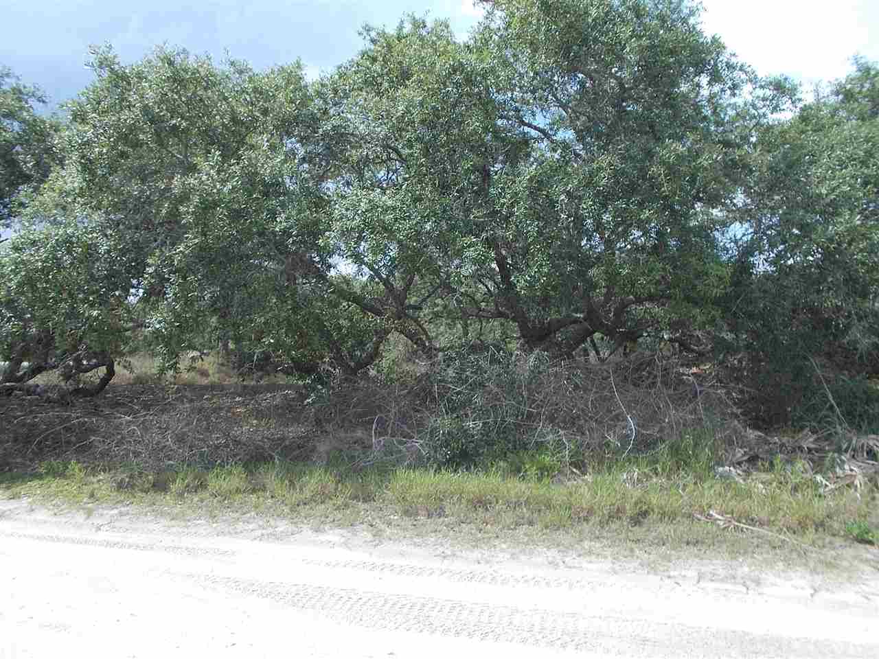 11 Sailfish, Bald Point, FL 32346