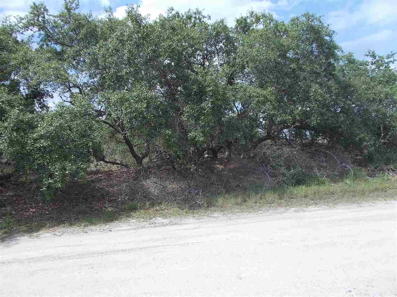 11 Sailfish, Bald Point, FL 32346