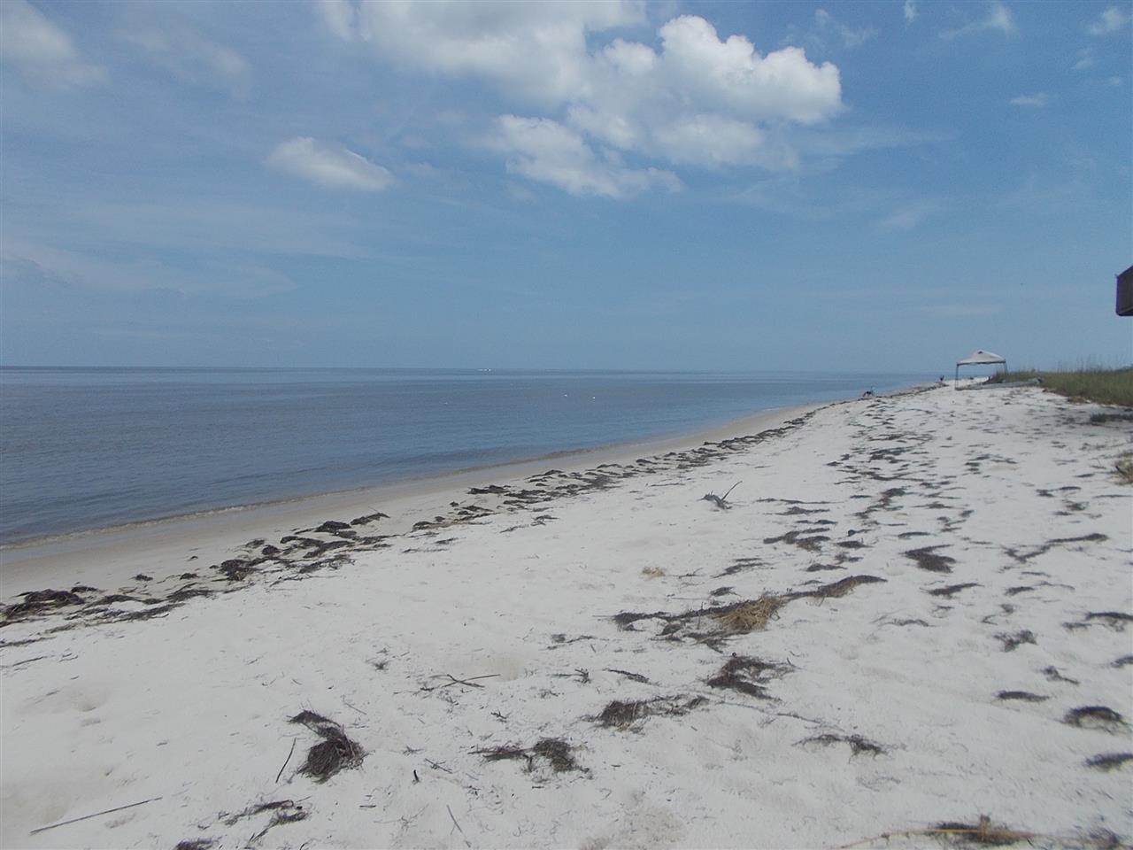 11 Sailfish, Bald Point, FL 32346
