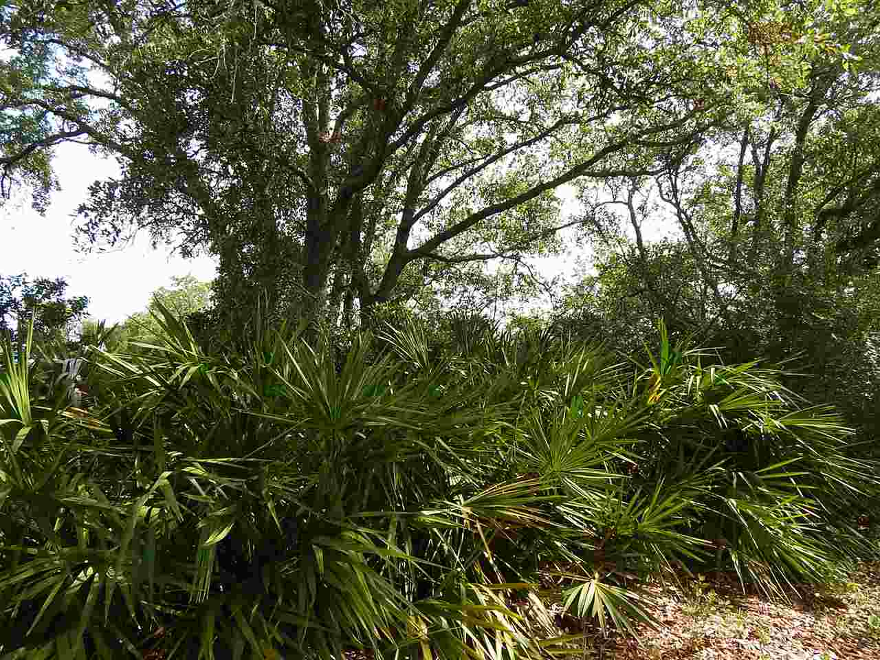 1278 Bayview, Alligator Point, FL 32346