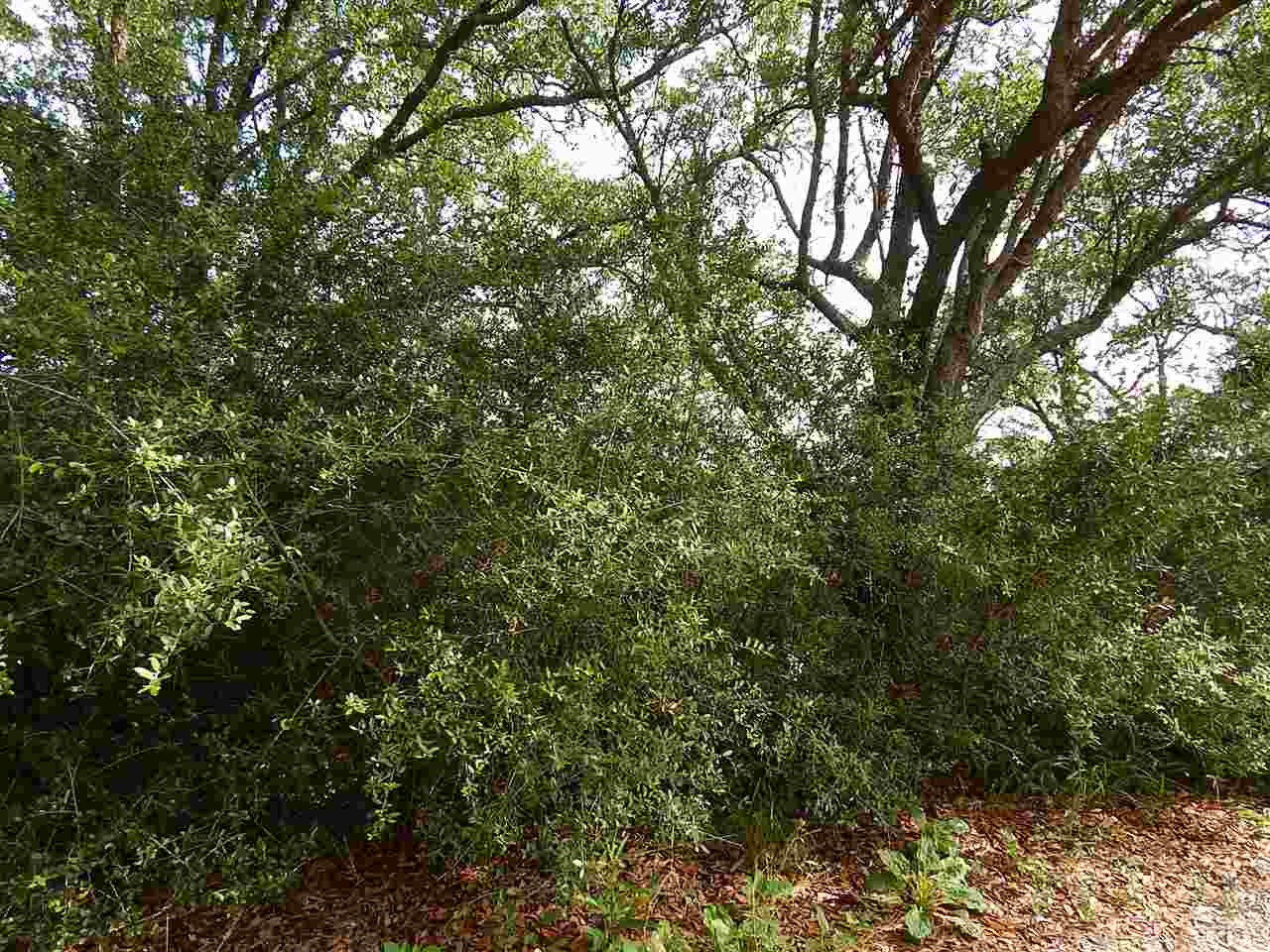 1278 Bayview, Alligator Point, FL 32346