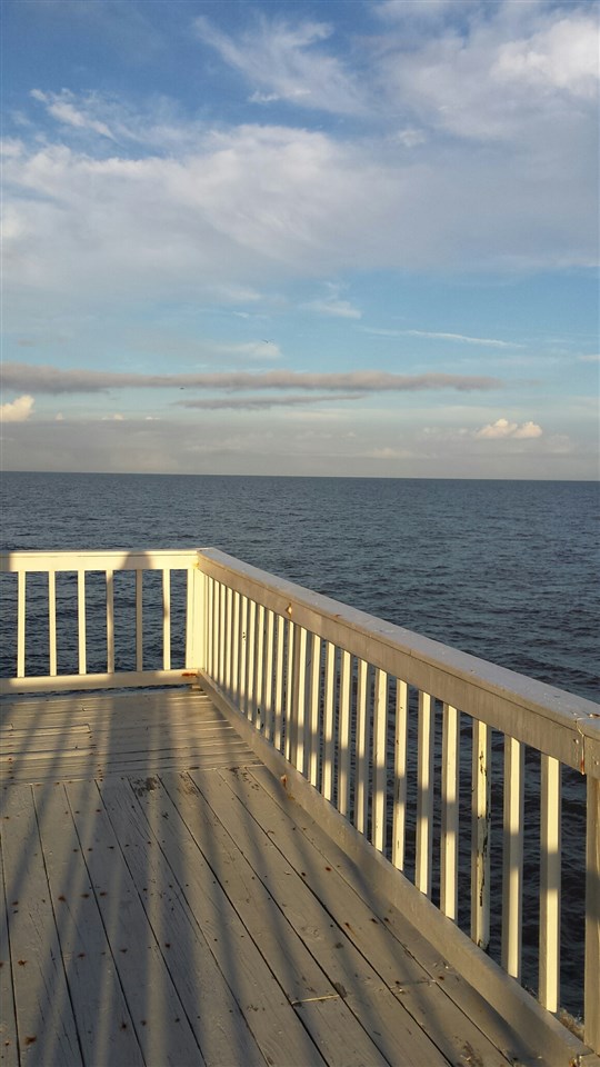 1029 Gulf Shore Boulevard, Alligator Point, FL 32346