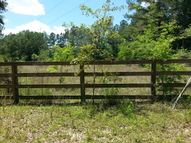 2333 Pecks Road, Perry, FL 32347