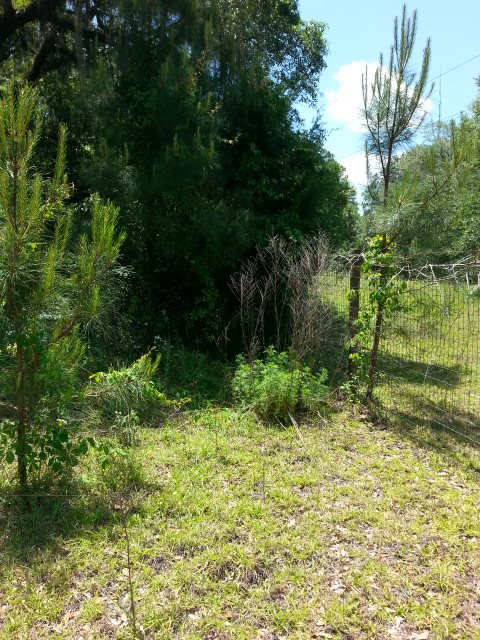 2333 Pecks Road, Perry, FL 32347