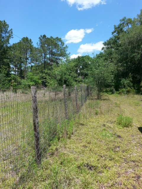 2333 Pecks Road, Perry, FL 32347