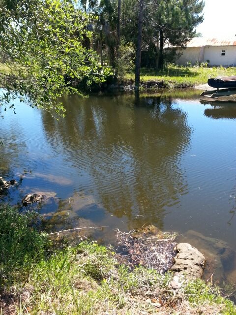 no 911 Sandpiper Road, Perry, FL 32348