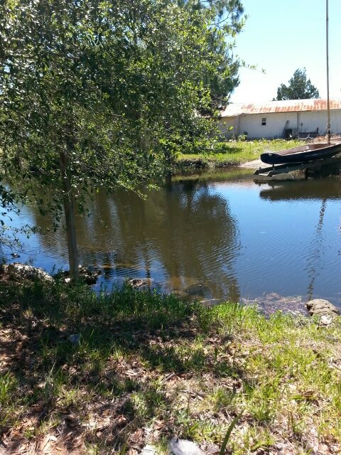 no 911 Sandpiper Road, Perry, FL 32348