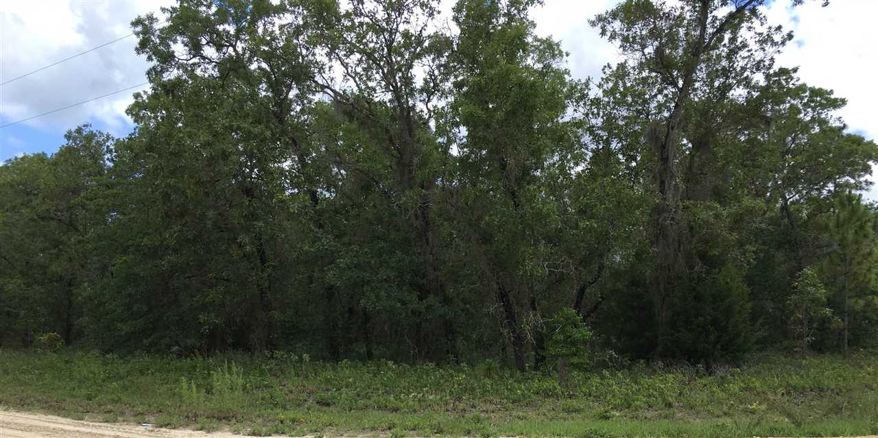 Lot 145 Turkey Oak, Keaton Beach, FL 32348