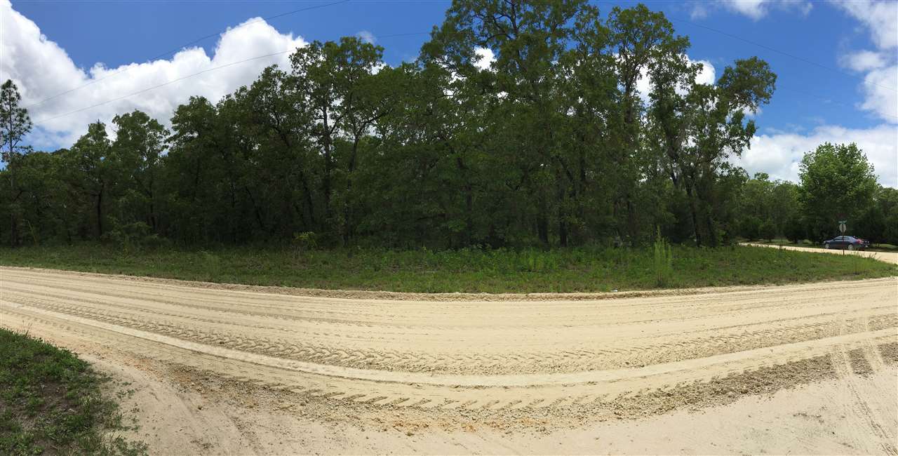 Lot 144 Royal Oak, Keaton Beach, FL 32348