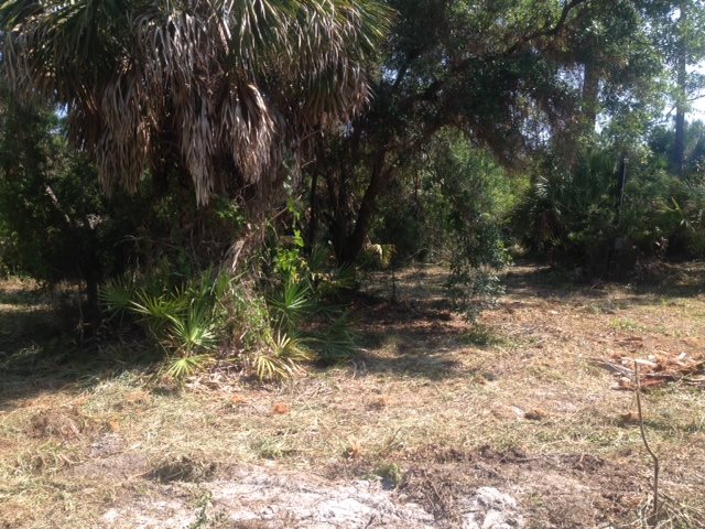 310 Kingfisher Rd, Perry, FL 32348